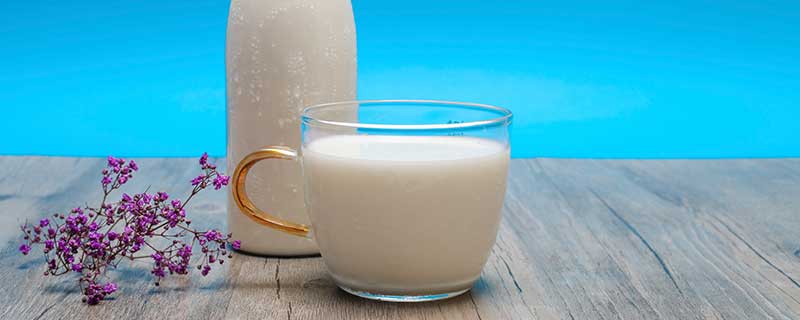 植物奶和牛奶的区别 植物奶和牛奶的区别是什么