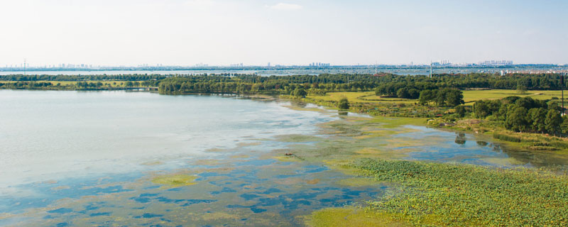 固城湖在哪个省哪个市 固城湖在哪个省市